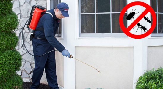 Babadağ Böcek ve Haşere İlaçlama böcek ilaçlama ve haşere kontrolü — ilaclama-tr.com